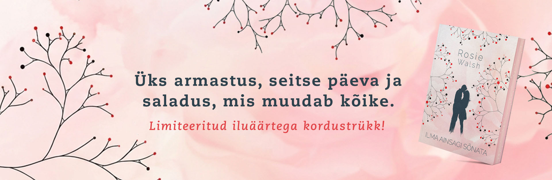 "Ilma ainsagi sõnata" Rosie Walsh